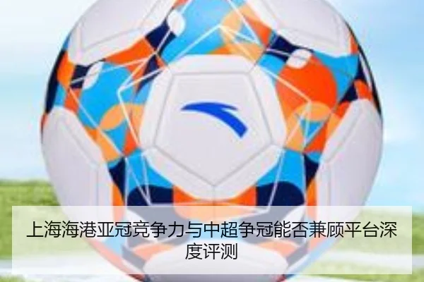 shang-hai-hai-gang-ya-guan-jing-zheng-li-yu-zhong-chao-zheng-guan-neng-fou-jian-gu-ping-tai-shen-du-ping-ce-2-415.jpg